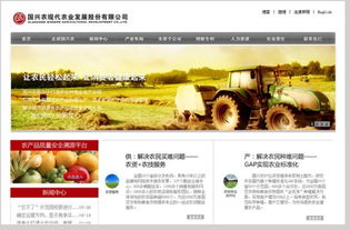 網頁設計的高清美學 上海樂思設計如何賦能國內廣告業務